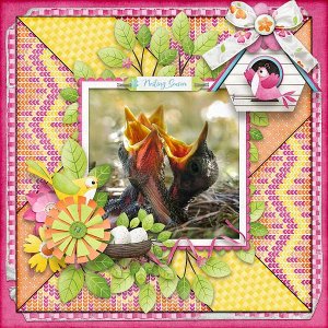 Nesting Season