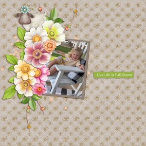 Spring Is Here-ScrapbookCrazy Robyn.jpg