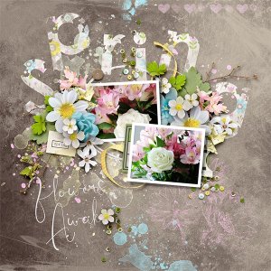 Spring Flowers