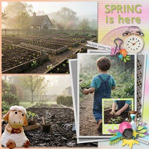 SpringIsHere_ollitko_600.jpg