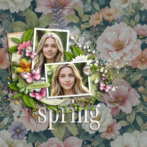 Spring