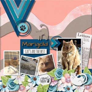 Marigold