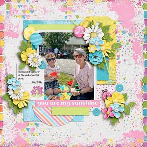 End-of-School-picnic.jpg