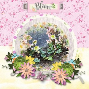 March Bloom