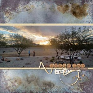 sunset-dog-walk-AZ-webv.jpg