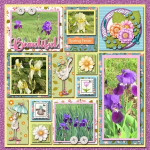 Spring-Fever-web.jpg