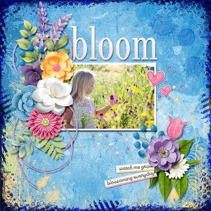 Bloom