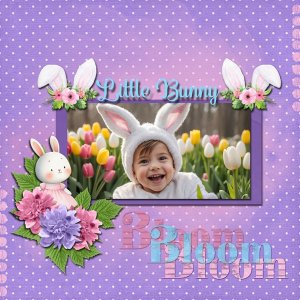 Adorable Little Bunny