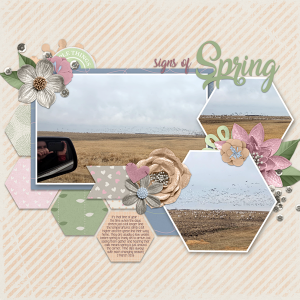 Signs of Spring