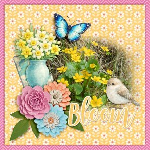 Bloom.jpg