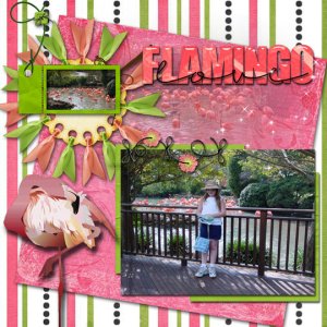 Flamingo Love