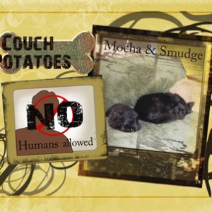 WordLover-CouchPotaotes