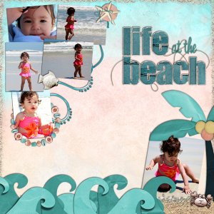 Life at the Beach