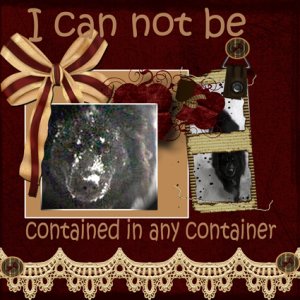 pop-culture2- I cannot be