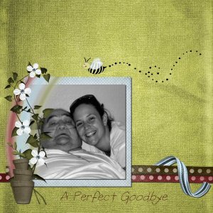 A Perfect Goodbye