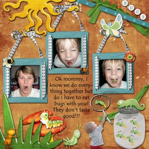 Bugs!!!