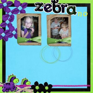 zebra no