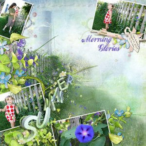 Summer Morning Glories