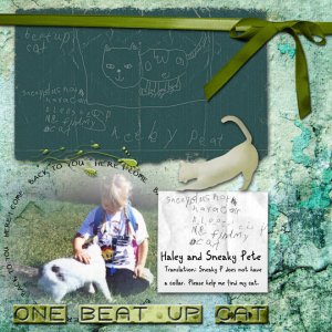 One Beat-Up Cat