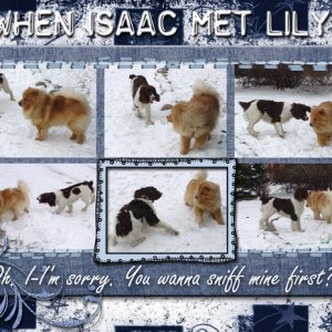 When Issac met Lily