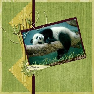 Atlanta Zoo