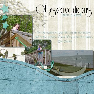 Observations