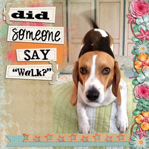 Walk?