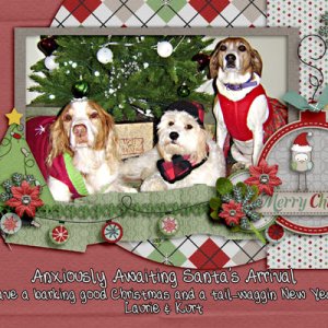 DogChristmasWeb