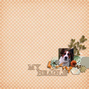 My Beagle