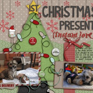 Our First Christmas Present