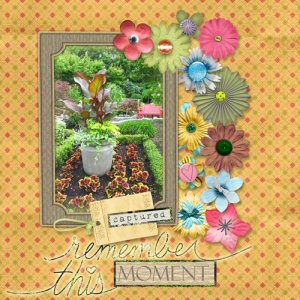 Flower Moment Captured
