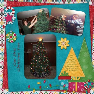 Our First Christmas Tree