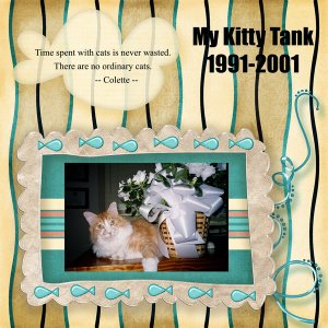 My Kitty Tank