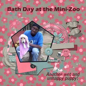 Bath Day at the Mini-Zoo
