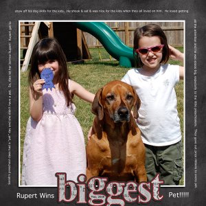Rupert Wins BIGGEST Pet!