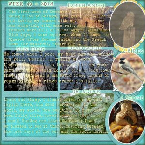 Week 49 In My World