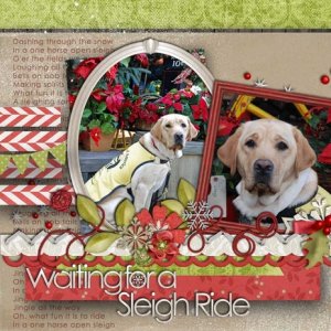 Waiting for a Sleigh Ride
