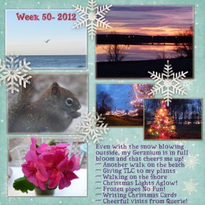 Week 50 In My World