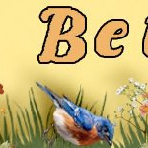 01 Mar Siggy -- Spring with a touch of green.jpg