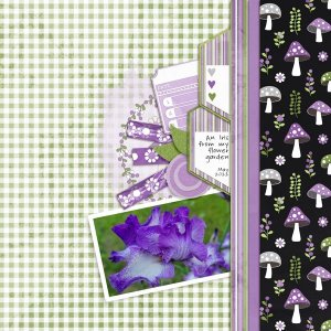 Fairy-Tales-Iris.jpg