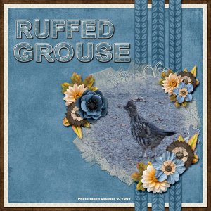 Ruffed Grouse small.jpg