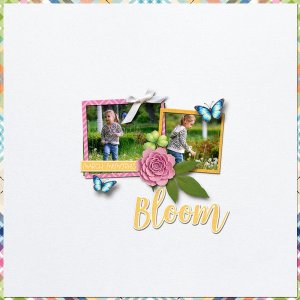 Bloom.jpg