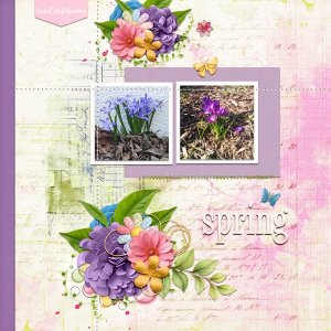 sweet flowers