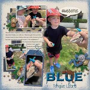 2025_12_bluetongue-copy.web.jpg