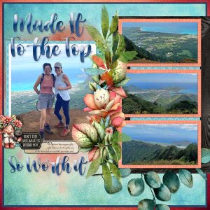 Made-it-To-the-Top!webv.jpg