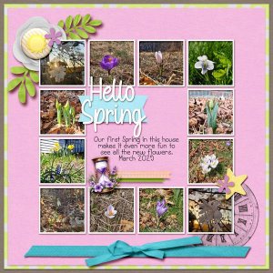 Hello-Spring-25.jpg