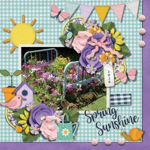DLPatt_SpringSunshine_web.jpg