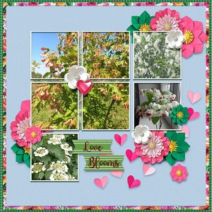 March 2026 Template Challenge from J. Conlon and Sons Gala.jpg