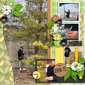 Geocache (Drew)