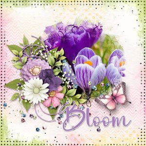 Bloom and Belong Mega Collab